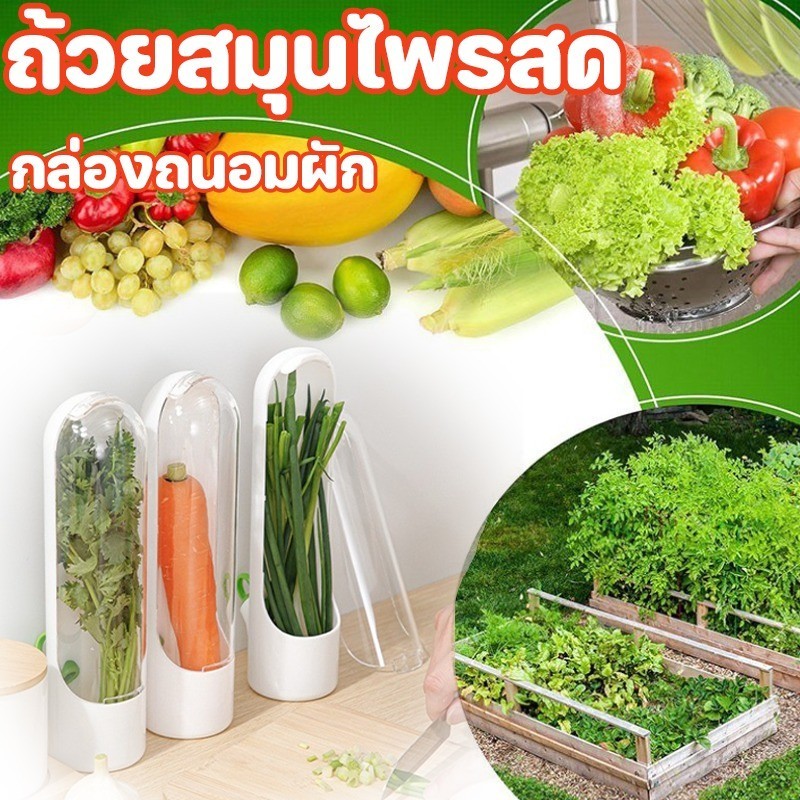 กล่องถนอมผัก ถ้วยสมุนไพรสด ประหยัดพื้นที่ ที่เก็บผัก ป้องกันแรงดันช่วยถนอมให้ผักสดนานกว่าเดิม