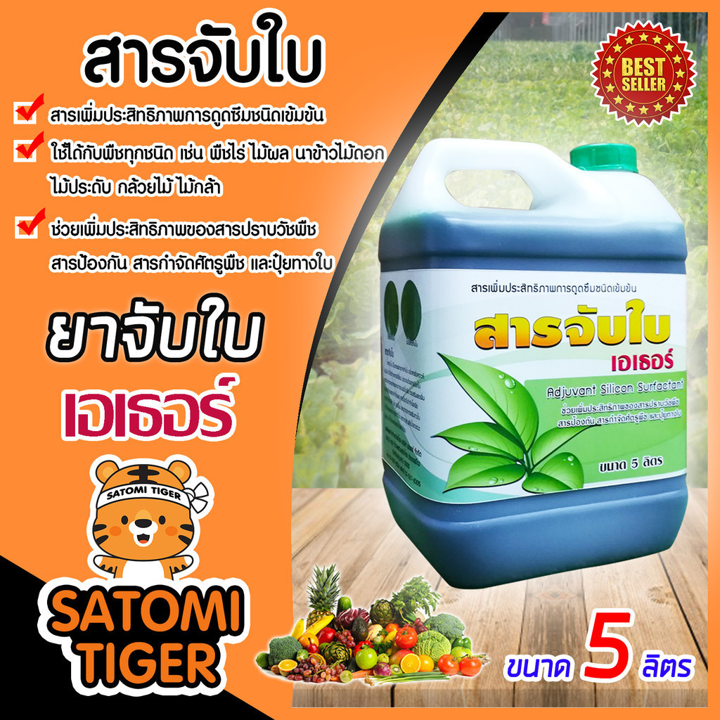 รวมสารจับใบเข้มข้นชนิดพิเศษ ขนาด 5 ลิตร มีหลายยี่ห้อให้เลือก