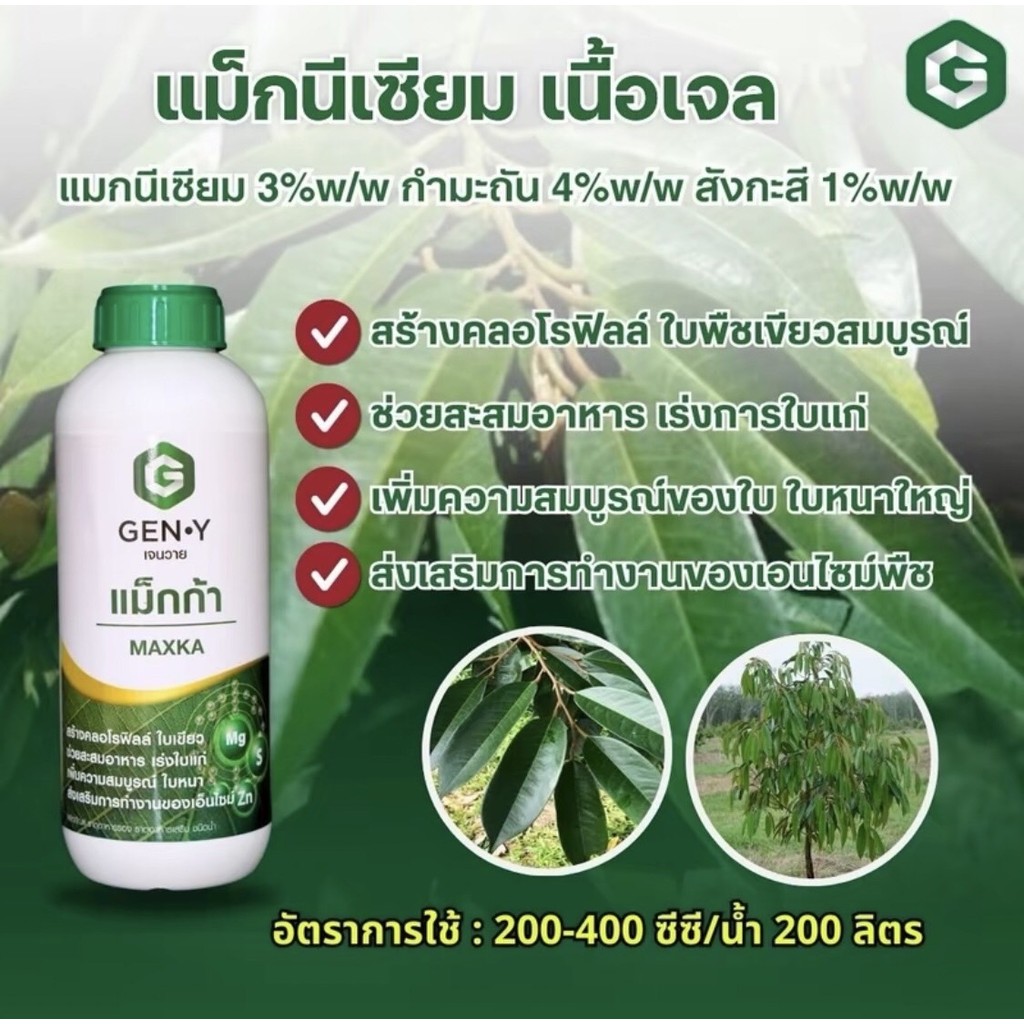 #แม็กก้า ขนาด 1 ลิตร สร้างคลอโรฟิลล์ ใบเขียวสมบูรณ์ เร่งการสะสมอาหาร เร่งใบแก่ เพิ่มความสมบูรณ์ ใบหนาใหญ่ #เจนวาย