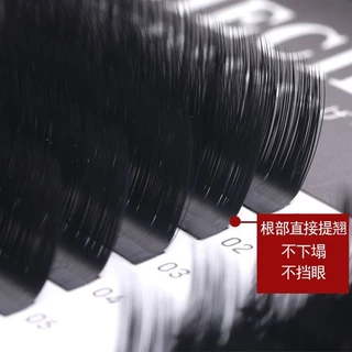 U ขนตามุมกว้างขยายขนตา Camellia Grafted Eyelashes UR ไม่ต้องยกไม่ยุบตัวต่อขนตาสไตล์จีนพิเศษ