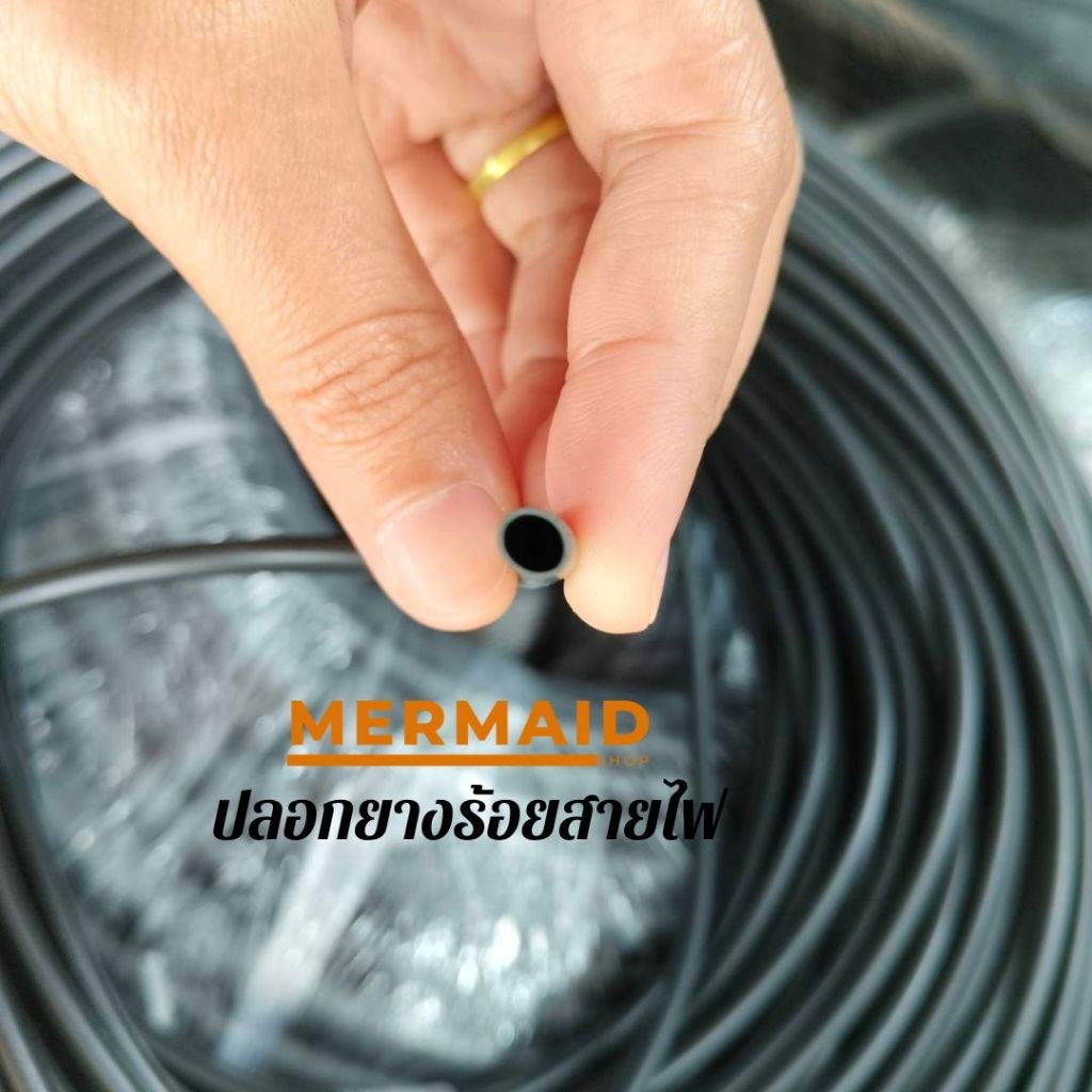 รูปภาพ 3