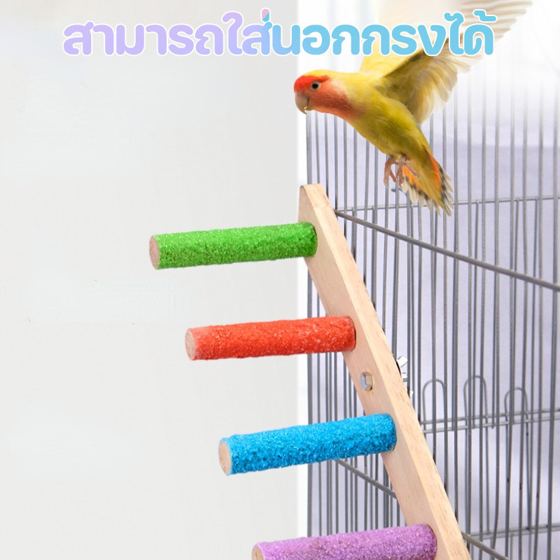 พร้อมส่ง🦜บันไดนกแก้ว 4/6/8ขั้น ของเล่นนก ของเล่นบันไดกรงนก ติดตั้งง่าย บันไดติดข้างกรงสัตว์เลี้ยง