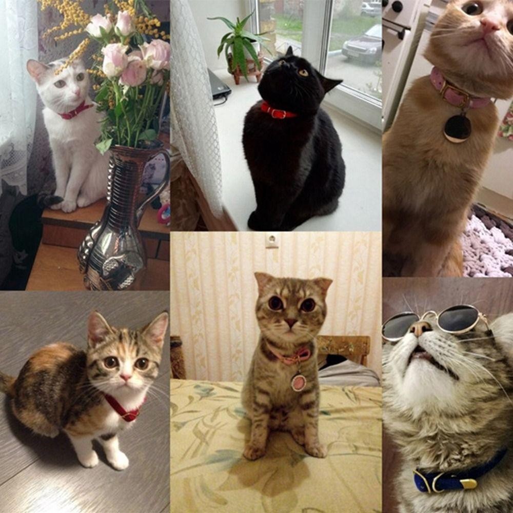 Yupei ปลอกคอแมว, Flocked ผ้าปรับสร้อยคอลูกแมว, คุณภาพสูงพร้อมหรือไม่มี Bell อุปกรณ์สัตว์เลี้ยงที่ทนทานแมวสุนัข - รูปที่ 4