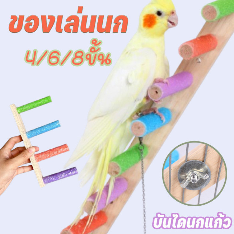 พร้อมส่ง🦜บันไดนกแก้ว 4/6/8ขั้น ของเล่นนก ของเล่นบันไดกรงนก ติดตั้งง่าย บันไดติดข้างกรงสัตว์เลี้ยง