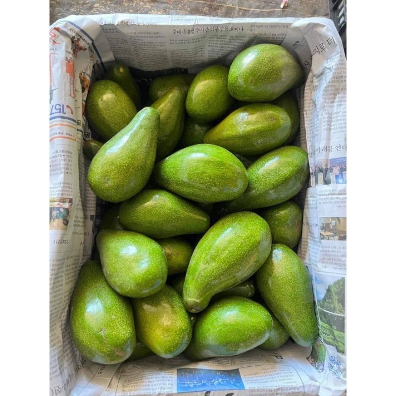 สด ใหม่  จาก ฟาร์ม ทุกวัน  อโวคาโด นำเข้าเวียดนาม ขายเป็นกิโล - รูปที่ 6