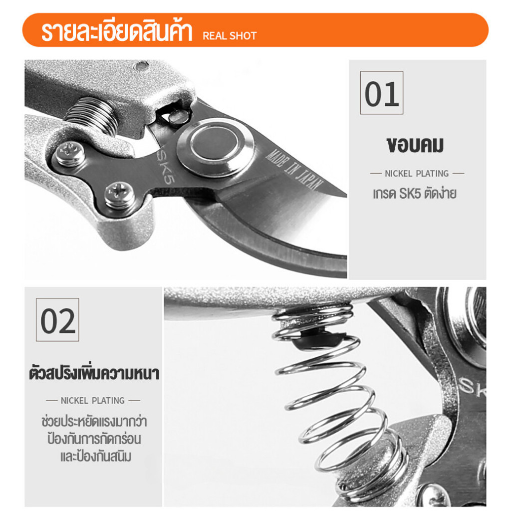 กรรไกรตัดกิ่งสําหรับทําสวน ตัดกิ่งไม้สูง สค5 ขนาด 40มม ใช้งานง่าย ตัดกิ่งไม้ ตัดต้นไม้ ตอนกิ่ง ทําสวน กรรไกรตัดกิ่ง กรรไกรบอนไซ - รูปที่ 3