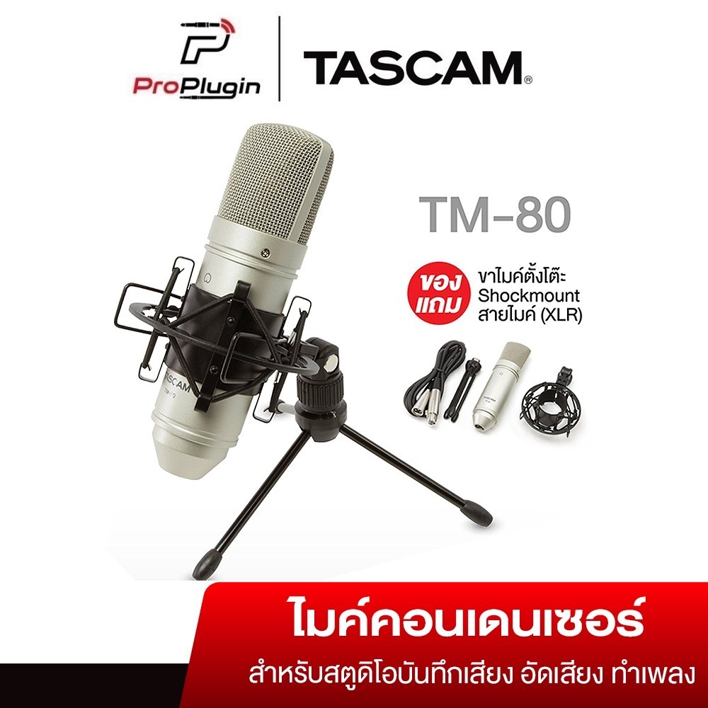 Tascam TM-80 Studio Condenser Microphone (ProPlugin)