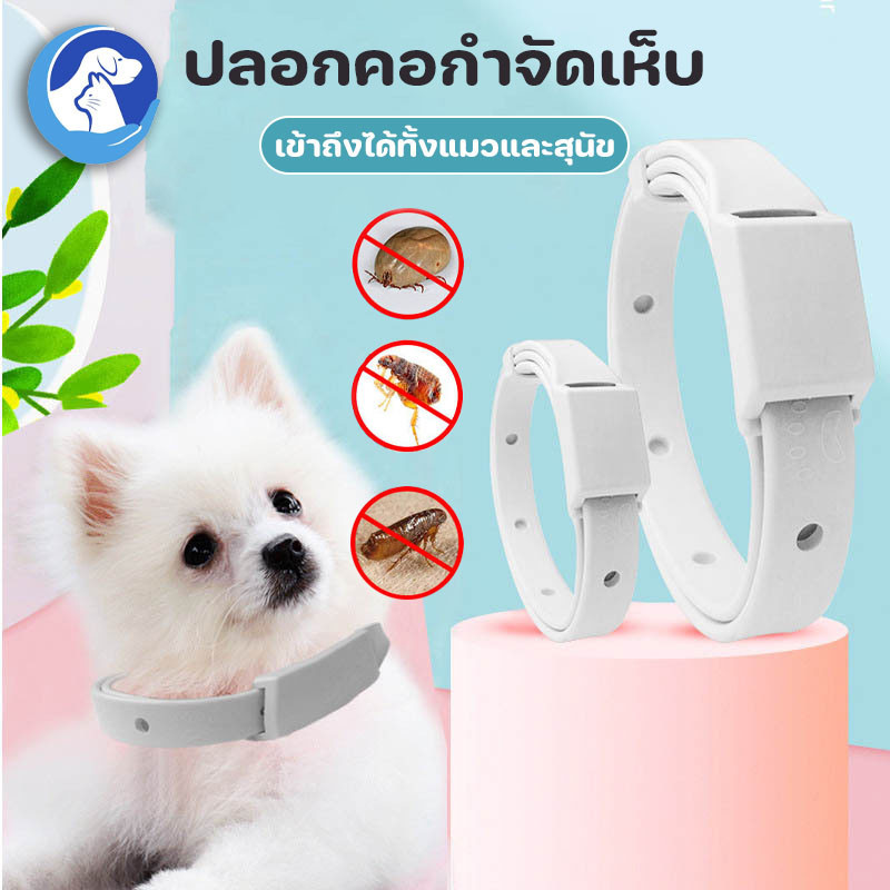 😺พร้อมส่ง🐶 ปลอกคอกำจัดเห็บ ปลอกคอกําจัดหมัดเห็บ กันน้ำได้ ทนนาน 8 เดือน สําหรับ อุปกรณ์สัตว์เลี้ยง