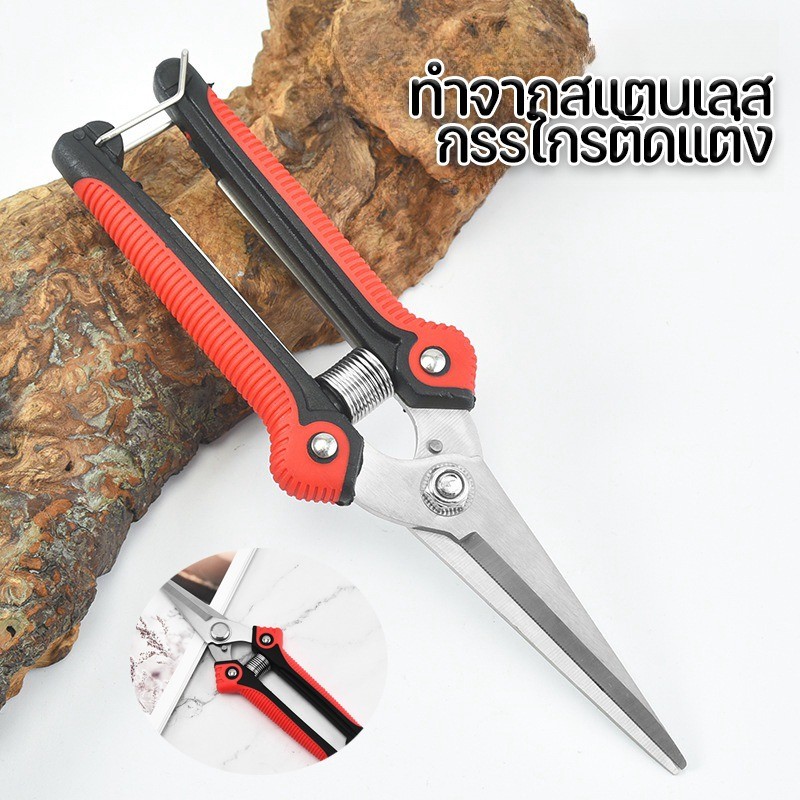 พร้อมส่ง กรรไกรตัดกิ่ง Grafting Gardening คีมตัดกิ่งไม้ กรรไกรตัดแต่งกิ่ง ตกแต่งกิ่ง ปลายแหลม