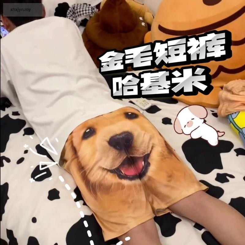 狗狗短裤情女装金毛短裤女人奇短裤夏季薄裤ส์กีฬา中大裤子กางเกงขาสั้นสุนัขชุดคู่กางเกงขาสั้นสีทองฮัสกี้