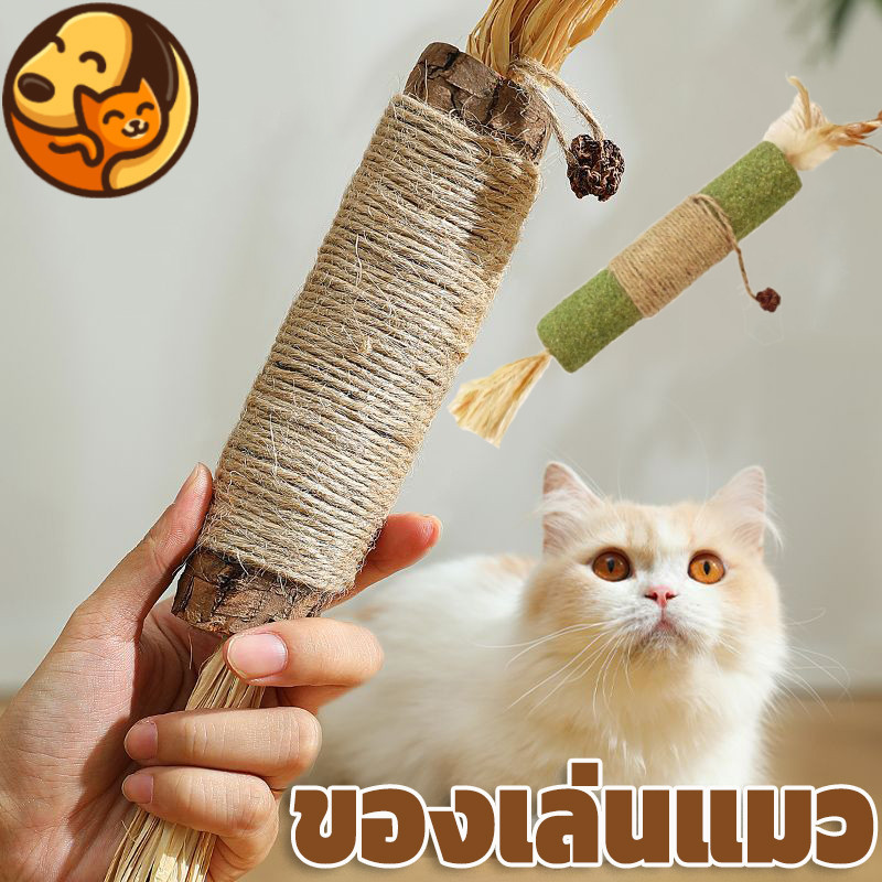 พร้อมส่ง ใหญ่พิเศษ ไม้แปรงฟันแมว ไม้มาทาทาบิ ขัดฟันไม้ ลดคราบหินปูน ของเล่นแมว