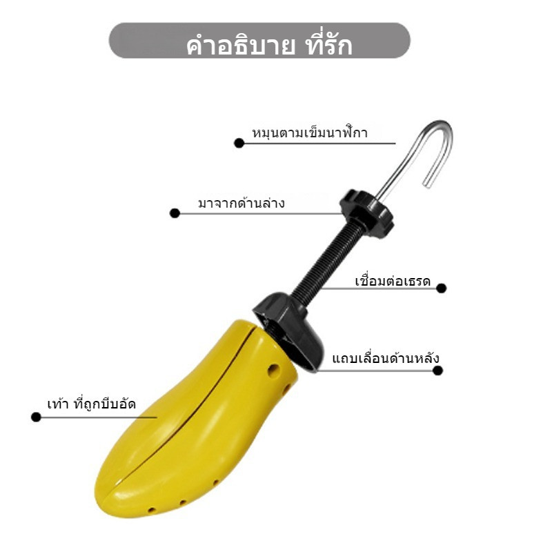 รูปภาพ 9