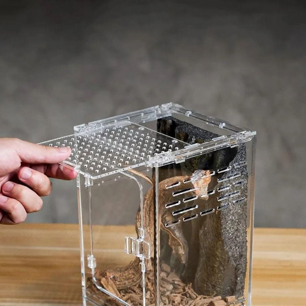 ดาเลีย 1ชิ้นกล่องให้อาหารสัตว์เลื้อยคลาน,อะคริลิคป้องกันหลบหนีกล่องภูมิทัศน์ทะเลทราย,โปร่งใสสูงระบายอากาศ อัมพห์เบียน ถังขนตาตุ๊กแกต้นไม้กบแมลงแมงมุม - รูปที่ 5