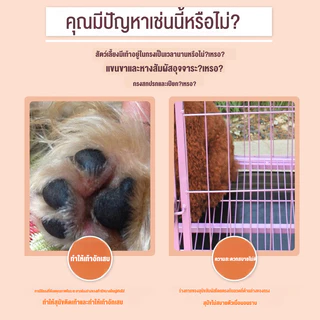 แผ่นรองกรง กันเท้าตกร่อง กันลื่น วัสดุPPทนทาน รองรับน้ำหนักดี สำหรับสัตว์เลี้ยง กรงกระต่าย