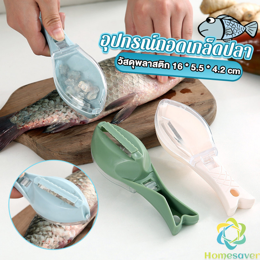 H.S. ที่ขูดถอดเกล็ดปลา อุปกรณ์ครัว มีกล่องเก็บเกล็ดปลาไม่ให้เลอะ ของใช้ภายในครัว Fish scale scraper