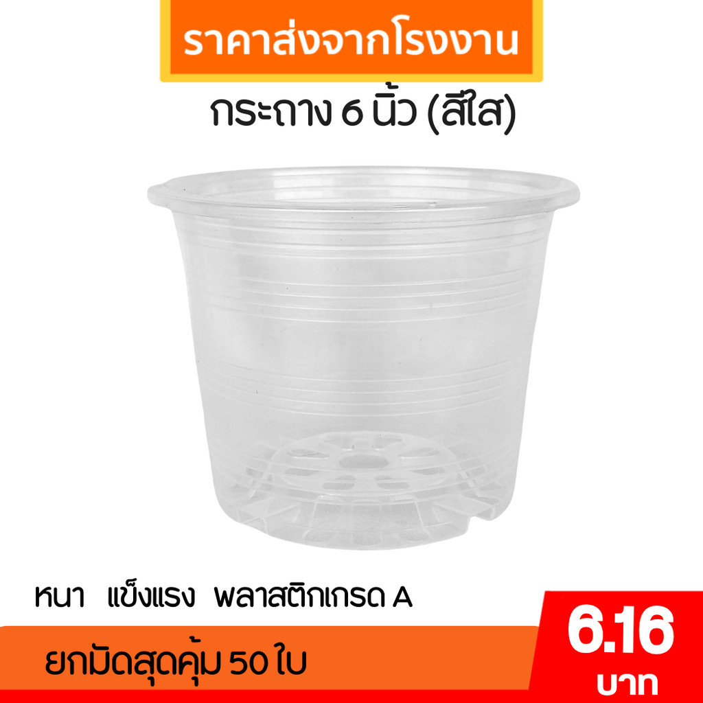 กระถาง กระถางต้นไม้ กระถางใส เบอร์ 6 นิ้ว Bundle 50 ใบ ชิ้น อัน