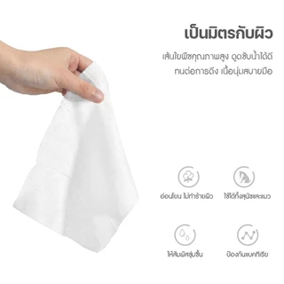 KTCAT Kojima Pet wipes ทิชชู่เปียก กระดาษเปียกสำหรับสัตว์เลี้ยง 80แผ่น 100แผ่น