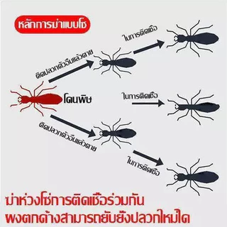เจลกำจัดแมลงสาบ DARCI โกคิระ แม็กซ์ ของแท้ เห็นผลรวดเร็ว เจลสาบ กำจัดสาบ สาบ แมลงสาป บ้านแมลงสาบ