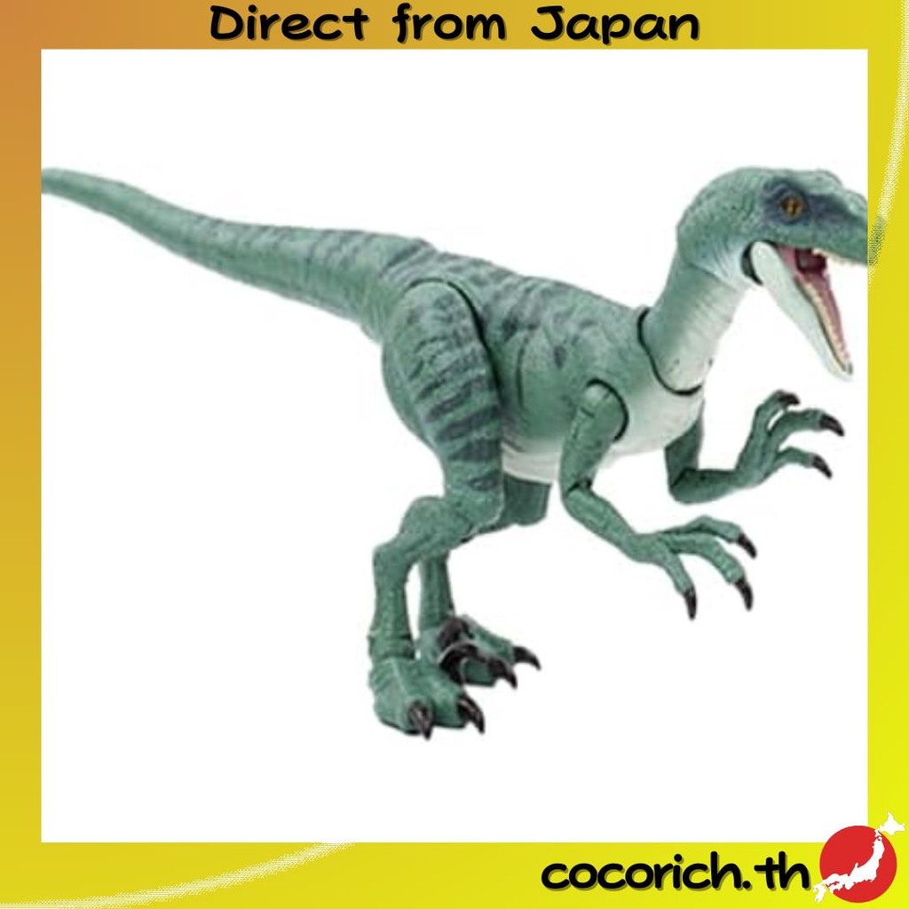 【ส่งตรงจากญี่ปุ่น】คอลเล็กชั่น Mattel Jurassic World Hammond Velociraptor Delto Delta Figure Dinosaur