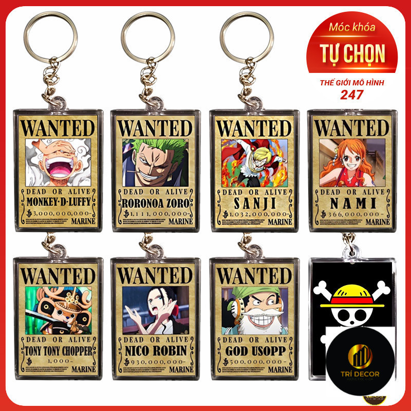 พวงกุญแจที่ต้องการ One Piece ผลิตจากวัสดุ Mica รุ่นเสริม-DH