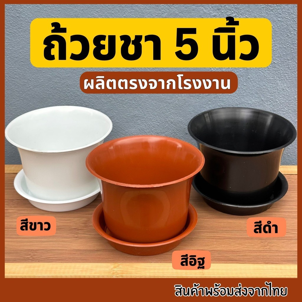 กระถางถ้วยชา5นิ้ว ถาดรองกระถางถ้วยชา กระถางปากกว้าง กระถาง5นิ้วทรงเตี้ย