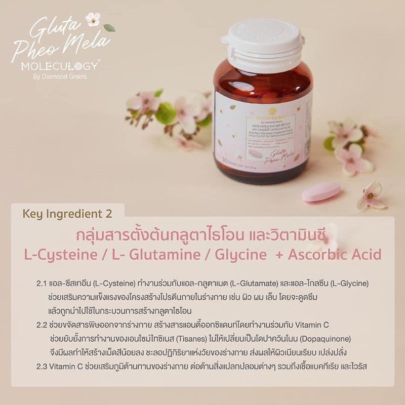 Moleculogy Gluta Pheo Mela (30เม็ด/กระปุก) ผลิตภัณฑ์เสริมอาหาร กลูต้า ฟีโอ เมลา ราคา ถูกที่สุด ดีลบีเคเค แกลเลอรีภาพที่ 5
