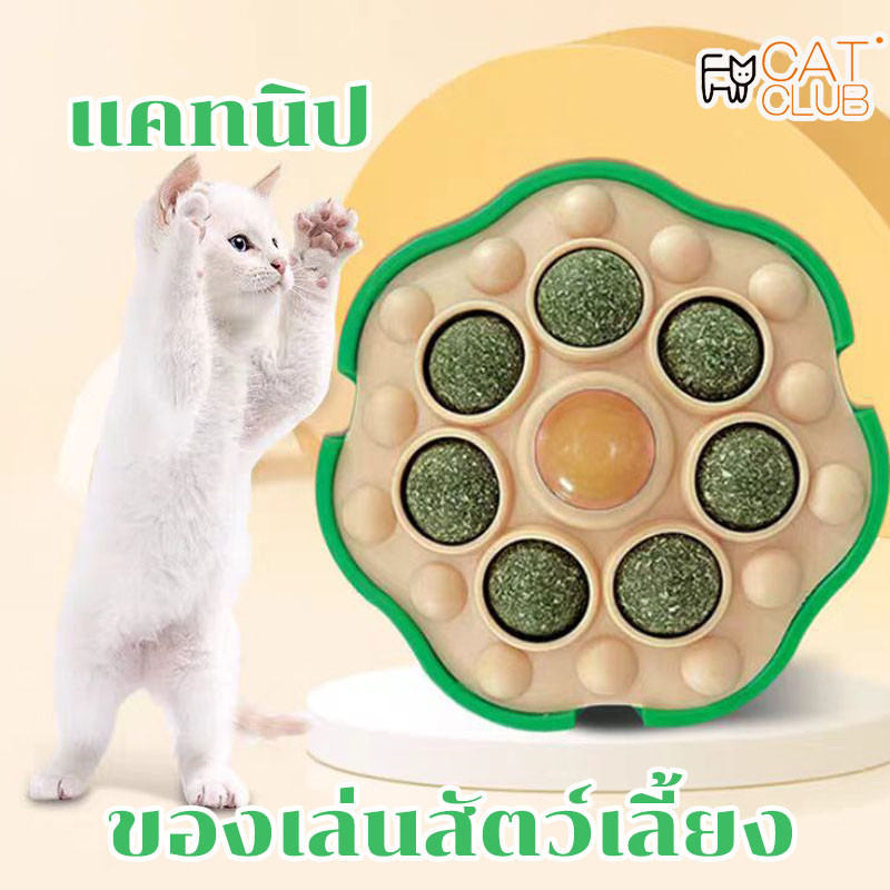 COD CAT CLUB ขนมแมวเลีย กัญชาแมวหลาย โลตัส สไตลิ่ง ด้วยระฆัง แปะกำแพง กัญชาแมวเลีย สมุนไพรแมวเลีย