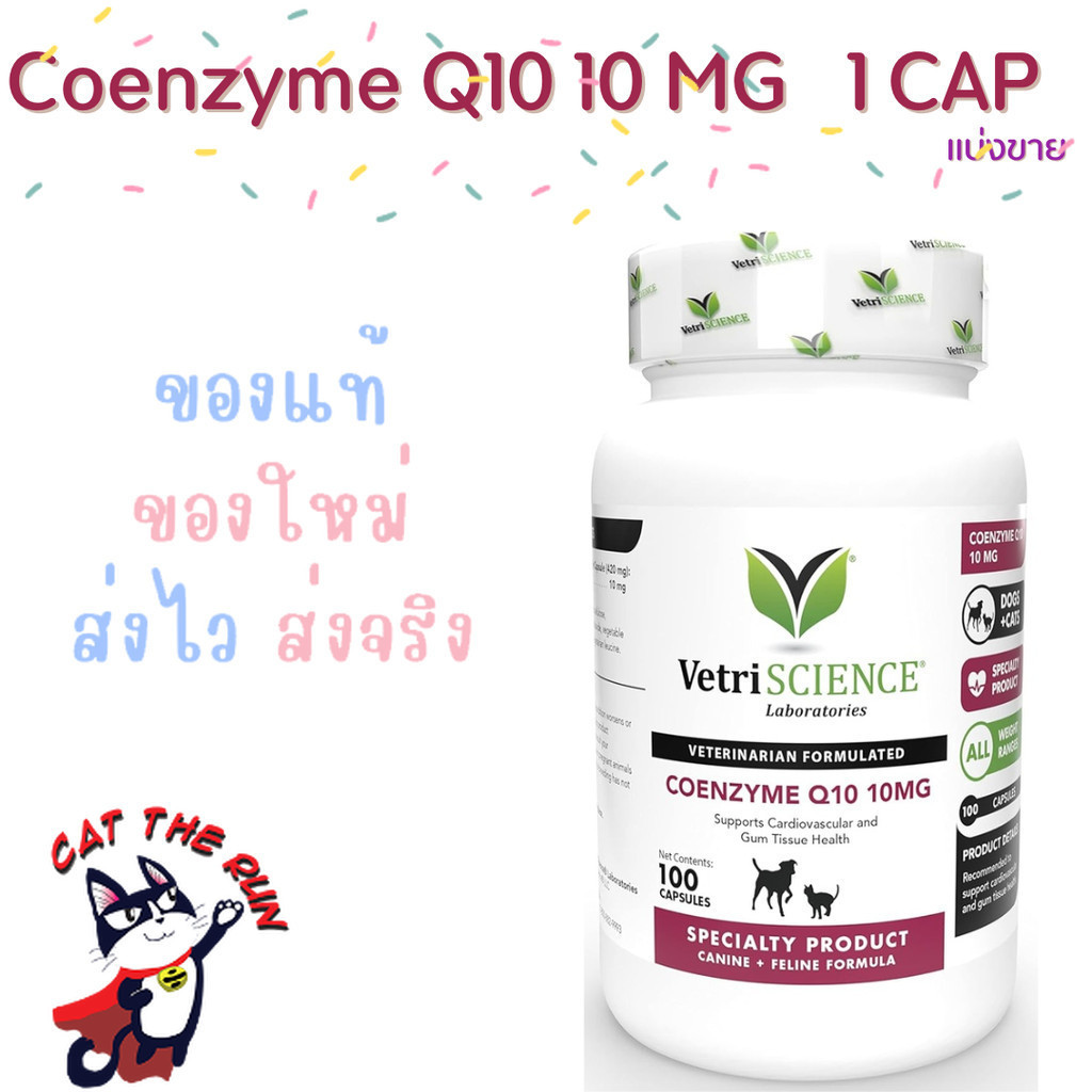 Coenzyme Q10 10 MG  100 เม็ด บำรุง หัวใจ สุนัข หมา แก่ วิตามิน Vetri