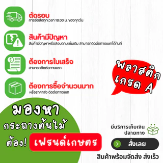 กระถาง กระถางต้นไม้ มินิมอล ถ้วยจีน ขนาด 12 นิ้ว สีขาว Bundle 5 ใบ ชิ้น อัน