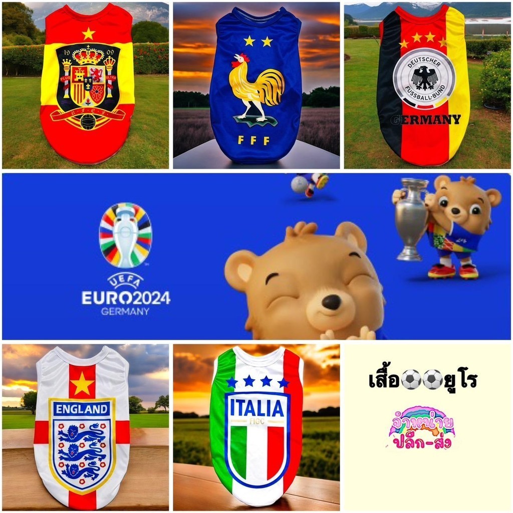 เสื้อแขนกุดลายทีมฟุตบอลยูโร น้องหมาน้องแมว ขนาดรอบอก 10 นิ้วถึง 42 นิ้ว สินค้าพร้อมส่ง