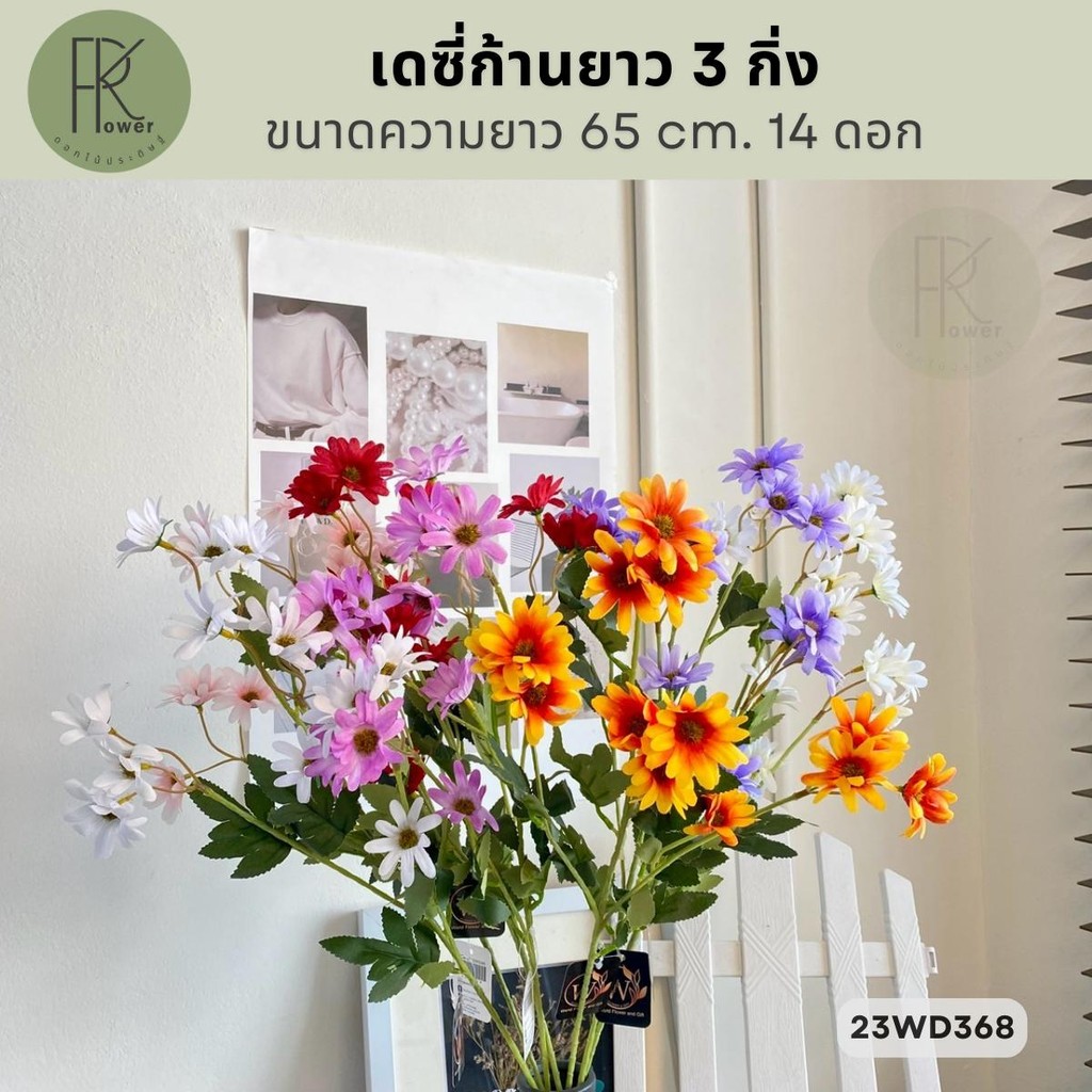 เดซี่ก้านยาว 3 กิ่ง  ขนาดความยาว 65 cm. 14 ดอก