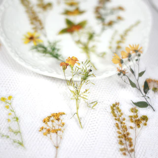 Journamm 40 ชิ้น/แพ็ค PET ดอกไม้สติกเกอร์พืช Daisy Decor เครื่องเขียนสําหรับ Junk Journal DIY Scrapbooking ป้ายสติกเกอร์