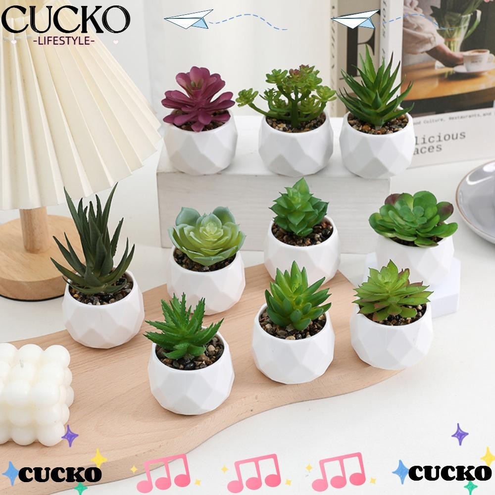 Cucko ประดิษฐ ์ Succulent,กระบองเพชรพืชปลอม Succulents บอนไซ , จําลองเอเวอร ์ กรีนพลาสติกบอนไซพืชบ ้ าน