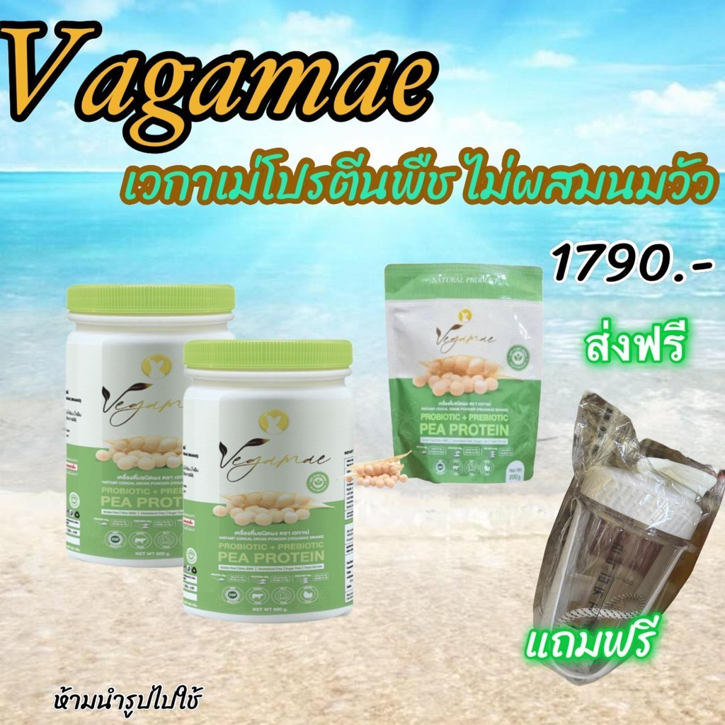 เก็บโคดในไฟล์ 100 ส่งฟรี VEGAMAE เวกาเม่ แบบซอง 200 g. โปรตีนถั่วลันเตาสีทอง ไม่มีนมวัว ไม่มีกลูเตน-แลคโตส