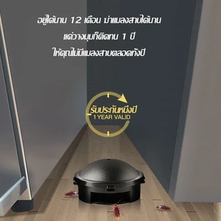 【1 ฟรี 1】อาท แบล็ค แคป เหยื่อกำจัดแมลงสาบ สำเร็จรูป บรรจุ 6ชิ้น ใช้ได้นาน1ปี ARS BLACK CAP 6pcs./box EFFECTIVE FOR A YEA