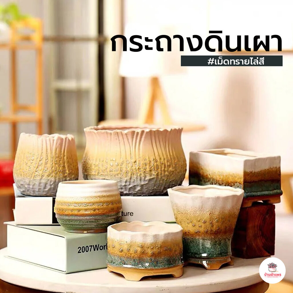 กระถางดินเผา เม็ดทรายไล่สี กระถางต้นไม้ ไม้อวบน้ำ กุหลาบหิน cactus&succulentหลากหลายสายพันธุ์