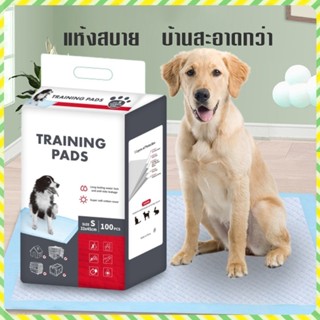 แผ่นรองฉี่สุนัข แผนรองฉี่สุนัข  แผ่นรองฉี่กระต่าย ห้องน้ำหมา…