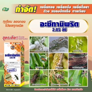 ยาฆ่าเพลี้ย อะซีทามิพริด 2.85 อีซี กำจัดเพลี้ยไฟ เพลี้ยหอย เพลี้ยแป้ง เพลี้ยดื้อยา กำจัดด้วง กำจัดแมลงปีกแข็ง