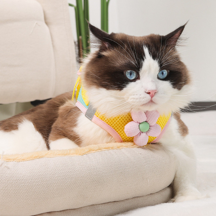[Muhsinpet] สายรัดหน้าอกแมว Dopamine สายรัดหน้าอกสไตล์เสื้อกั๊ก สายจูงสุนัขแมว/เล็ก