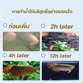 COD จุลินทรีย์ แบคทีเรีย บ่อปลา ตู้ปลา น้ำใส ลดตะไคร่ สลายขี้ปลา ลดตะไคร่ ย่อยของเสีย ลดกลิ่น ปรับสภาพน้ำใส