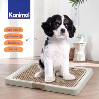 Kanimal Dog Toilet ถาดฝึกฉี่สุนัข ถาดรองซับ ห้องน้ำสุนัข รุ่นเปิดฝาบน สำหรับสุนัขพันธุ์กลาง-ใหญ่ Size M,L,XL