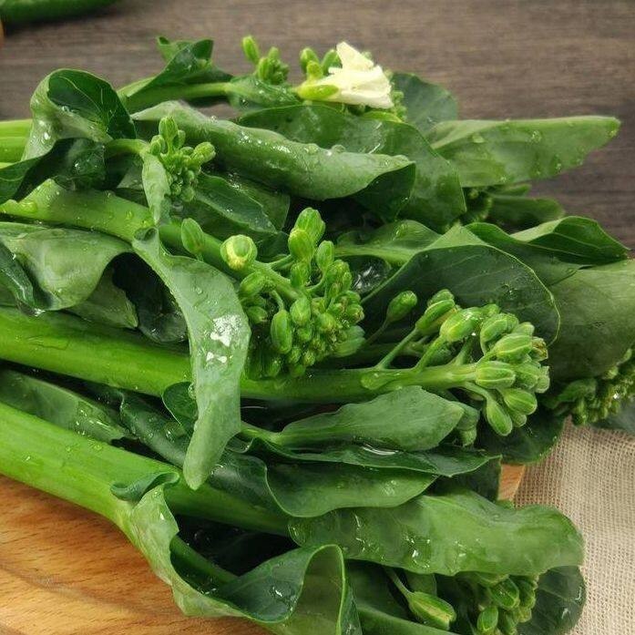 [10แถม1คละได้] เมล็ดพันธุ์ คะน้าฮองกง 300-800 เมล็ด มีคู่มือการปลูก