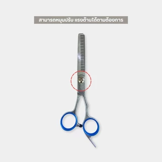 กรรไกรตัดผม กรรไกรซอยผม สแตนเลส กรรไกรตัดแต่งทรงผม กรรไกรตัดผมโดยเฉพาะ กรรไกรตัดผมมืออาชีพ แข็งแรง ทนทาน