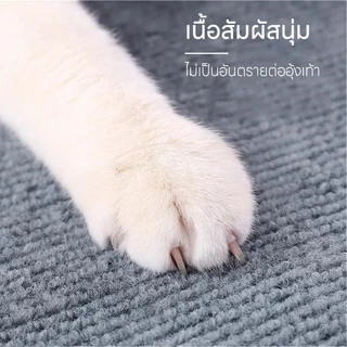 พรมลับเล็บแมว ที่ฝนเล็บ มีกาวในตัว กันรอยข่วนได้ดี แผ่นแมวปีน ที่ลับเล็บแมว แผ่นกันข่วน ที่กันแมวข่วน ถนอมโซฟา