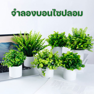 พร้อมส่ง จำลองบอนไซปลอม กระถางต้นไม้ขนาดเล็ก พืชจำลอง ต้นไม้…