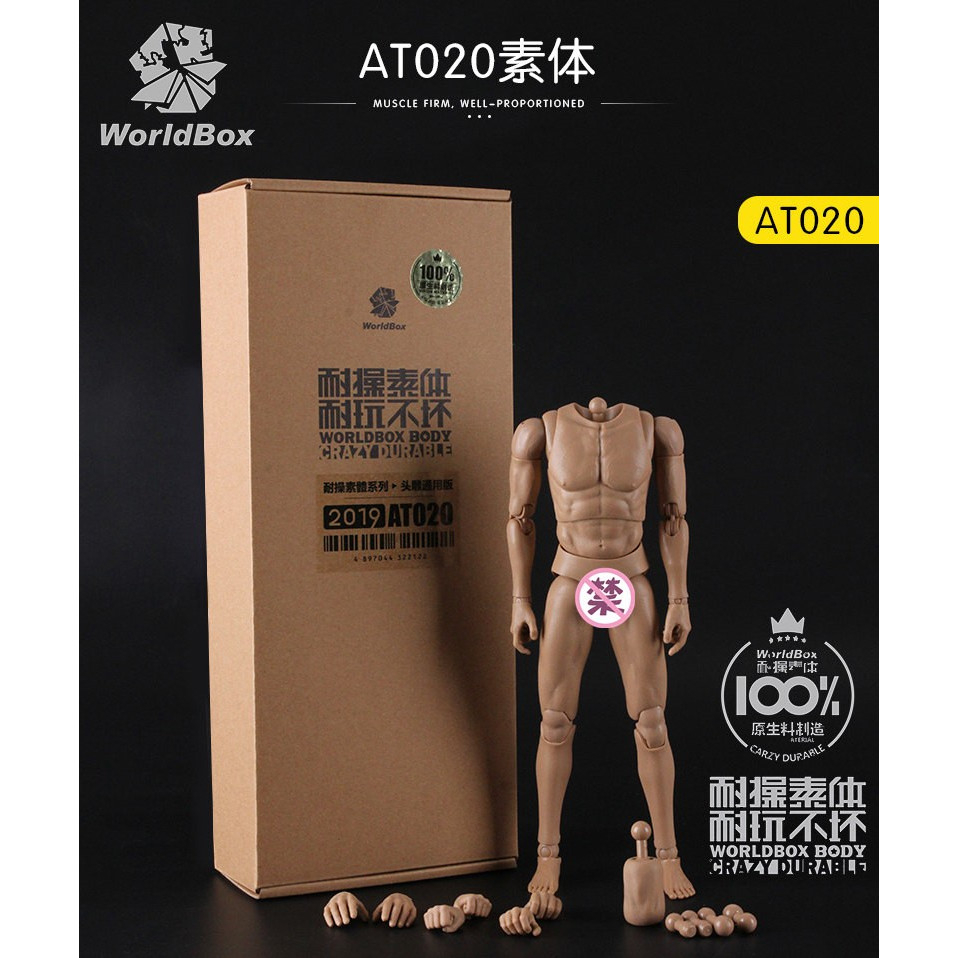 [ระดับไฮเอนด์] พร้อมสต็อก WorldBox 1/6 AT011-032 ทนทาน Body Neckless รุ่นไหล่แคบ Body Figure Model