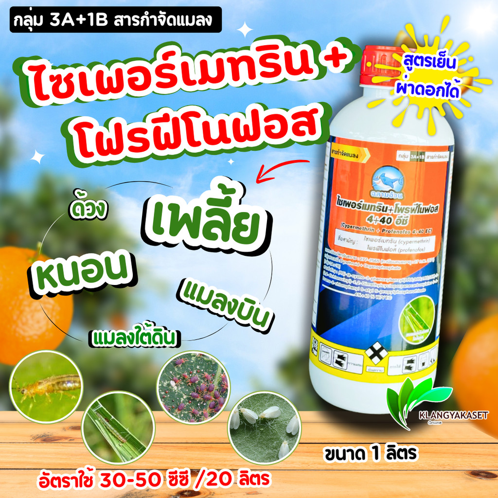 ยกลัง 12 ขวด ไซเพอร์เมทริน +โฟรฟีโนฟอส ฉลาม ขนาด 1ลิตร ( สูตรเย็น ) สารกำจัดแมลงชนิด ดูดซึม และน๊อคฆ่า คุมไข่ กำจัดหนอนใ