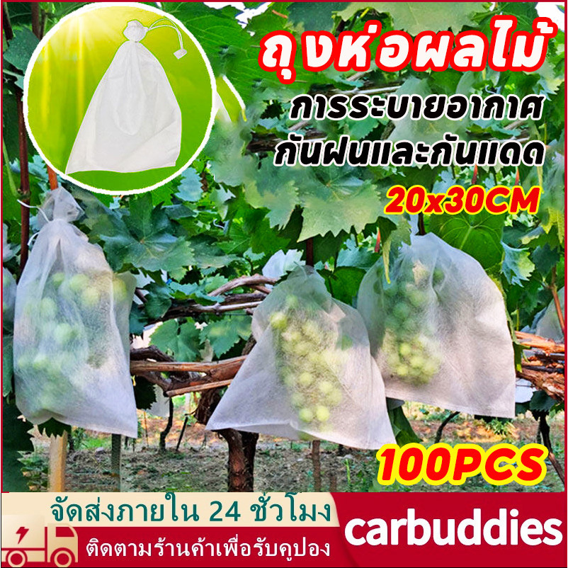 ถุงห่อฝรั่ง ถุงห่อผลไม้ 100ชิ้น ขนาด 20x30 ซม