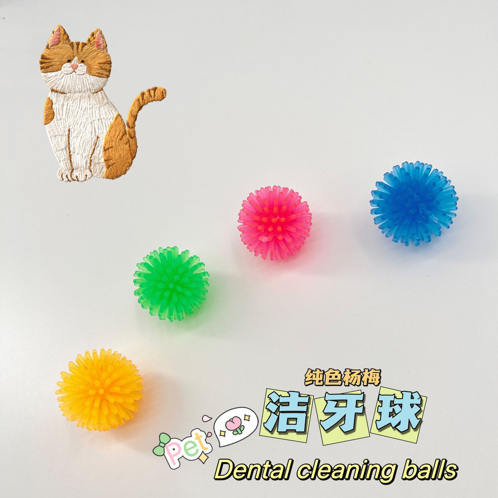 ของเล่นลูกบอลทําความสะอาดฟัน บรรเทาความเครียด สีพื้น สําหรับสัตว์เลี้ยง แมว