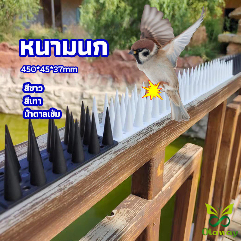 Olaway หนามนก อุปกรณ์ไล่นก น้ำยาไล่นก หนามที่กั้นไม่ให้แมวเข้ามา bird thorn